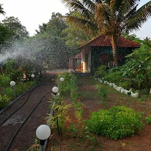 https://nettle-trees.hotels-alappuzha.com